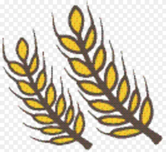 ���� �� ��Ʒ-������