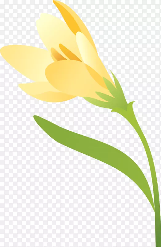 ����ֲ�ﾥ�귬�컨-������