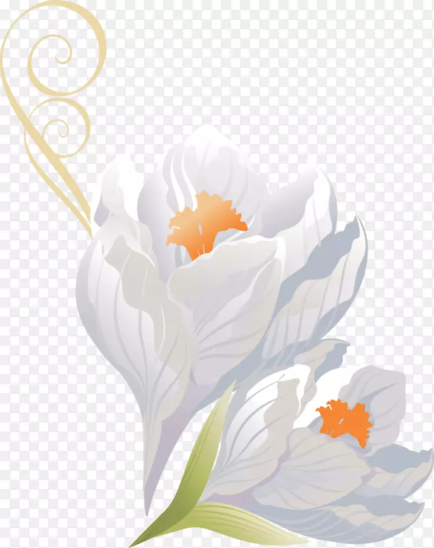 ���ܷ羰��-���컨-������