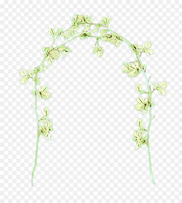 ��ͨ ��֦ ֲ�ﾥ-������