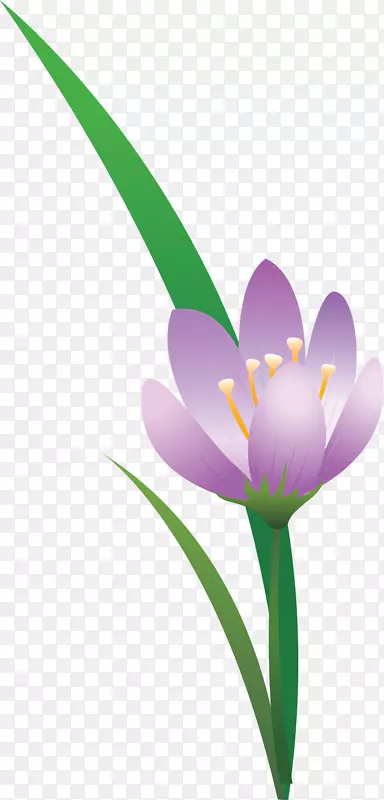 ����ֲ���϶�����޹�²�-���컨-������