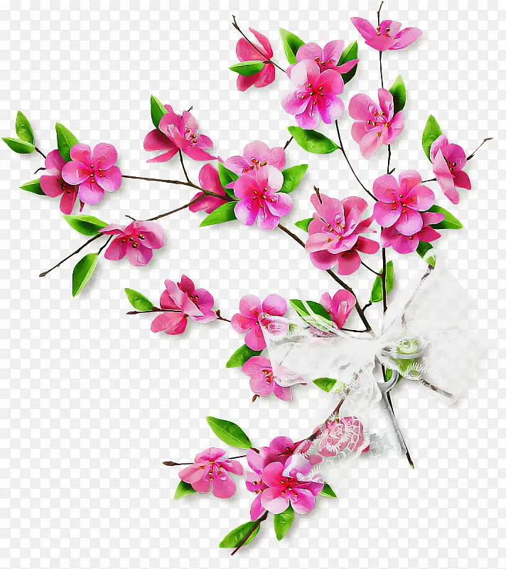 ������� �л� ֲ�ﾥ-������