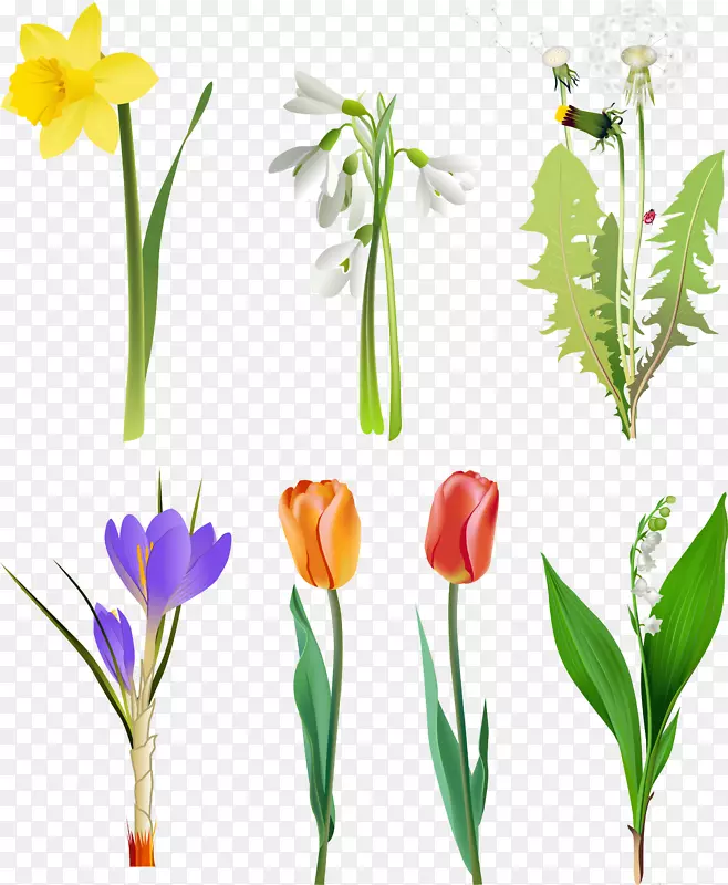 �ٺϻ�������-���컨-������