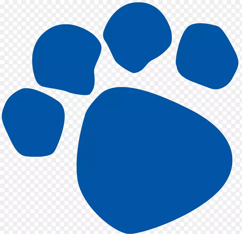 ipod����Ӧ���̵�ƻ��iTunes����ѧϰ-������