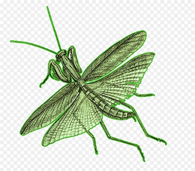 ���� ��� ŷ�����-������