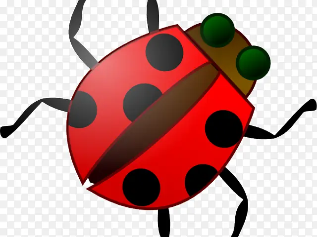 ���� ư��׳� �滭-������