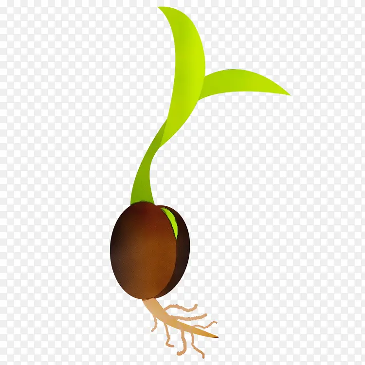 ˮ�ʻ� ���� ʪīˮ-������