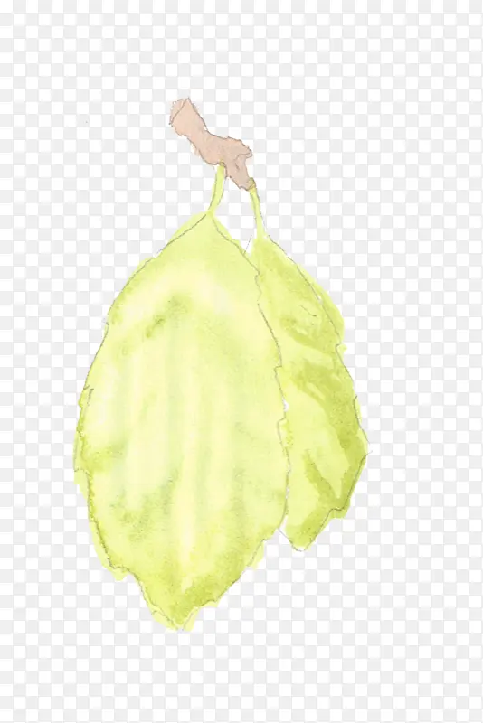 ˮ�� ��ɫ Ҷ��-������