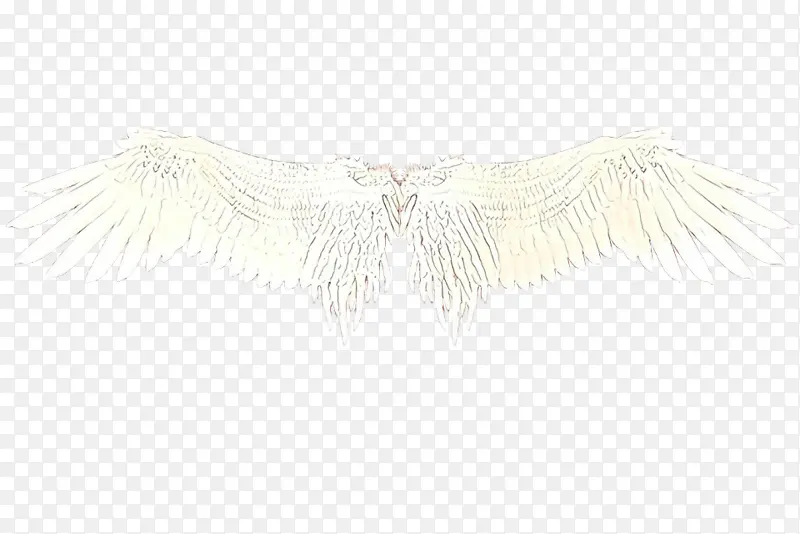 ��ͨ ���� ����-������