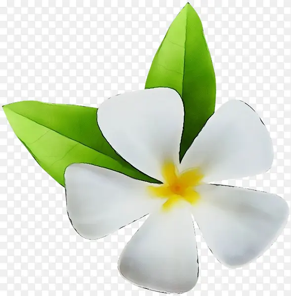 ˮ�ʻ� ���� ʪī-������