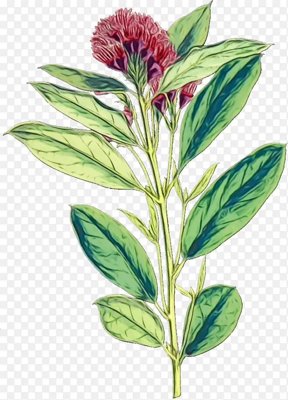 ˮ�ʻ� ���� ʪī-������