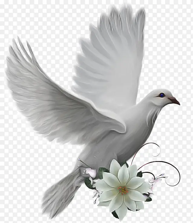 ���Ӻ͸��� �� ����-������