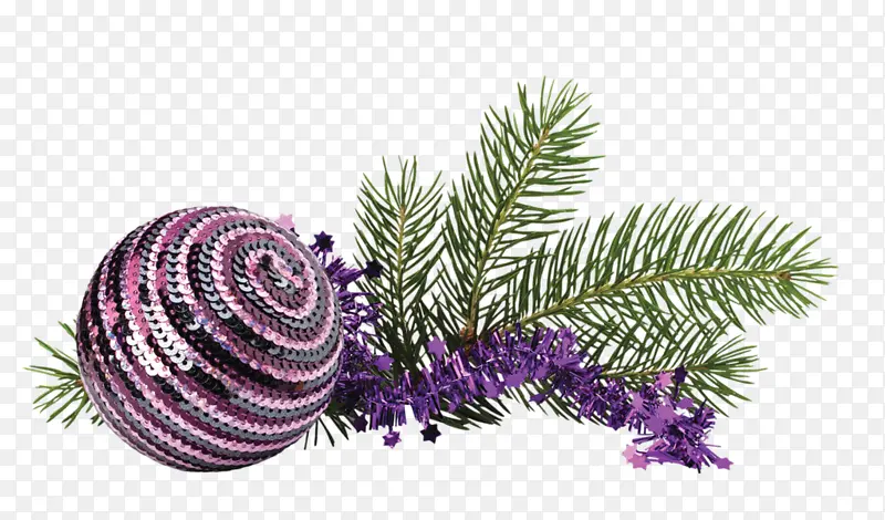 ʥ���� ���� ʥ��װ��-������