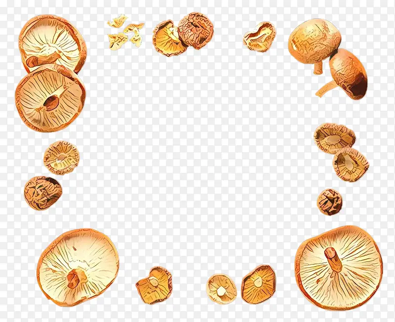 ��ͨ ֲ��-������