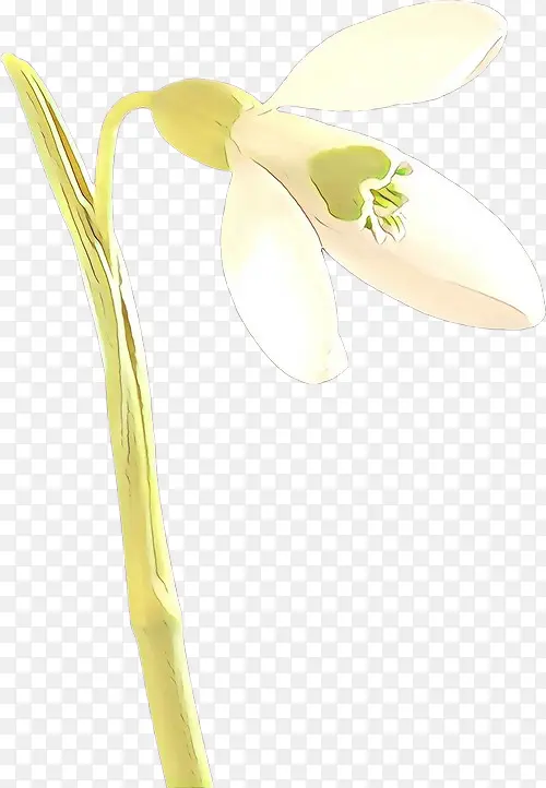 ��ͨ ��ɫ ѩ����-������