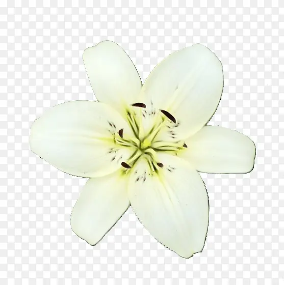 ˮ�� ���� ʪī-������