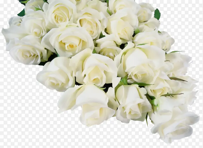 ˮ�� ���� ʪī-������