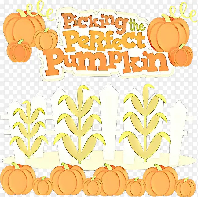 ��ͨ ��ɫ ��ɫ-������