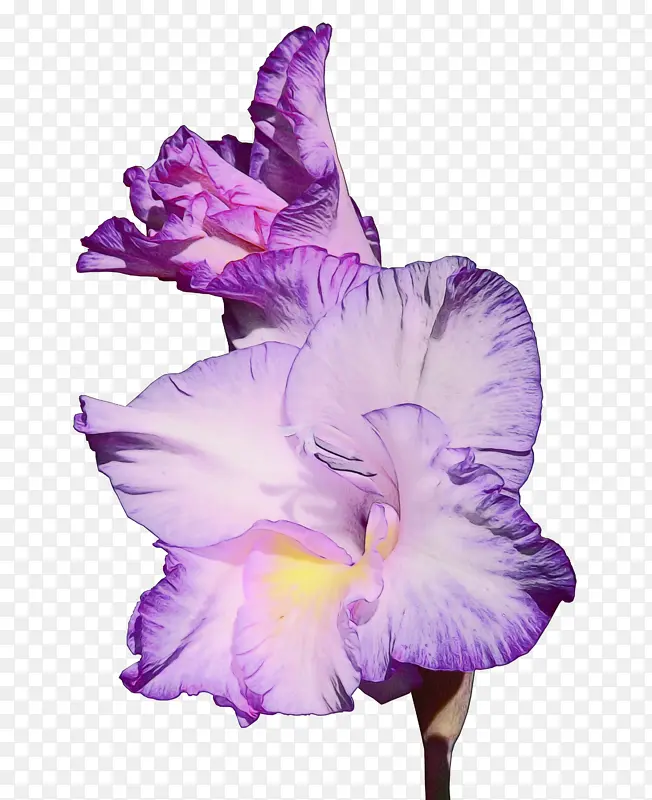 ˮ�ʻ� ���� ʪī-������