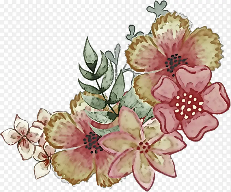 ��ɫ �� ֲ��-������