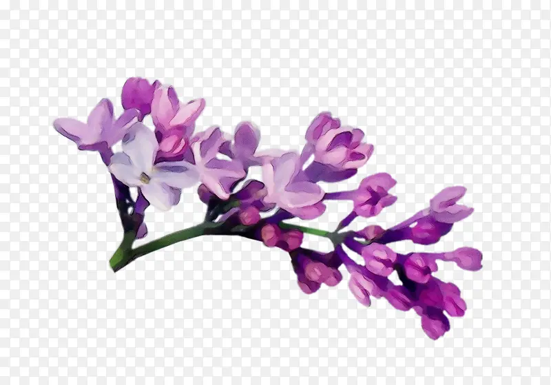 ˮ�ʻ� ���� ʪī-������