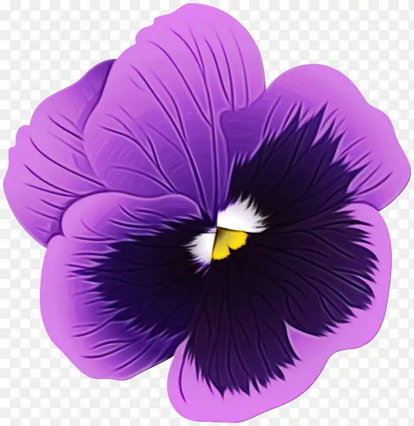 ˮ�ʻ� ���� ʪī-������