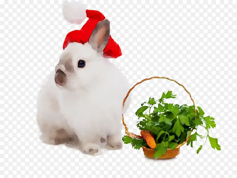 ˮ�ʻ� ���� ʪīˮ-������