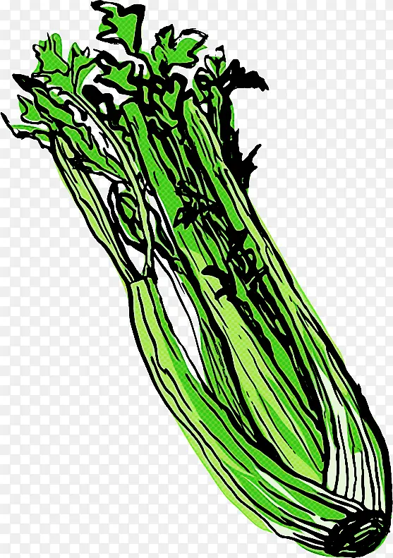 �߲� ֲ�� ҩ��-������