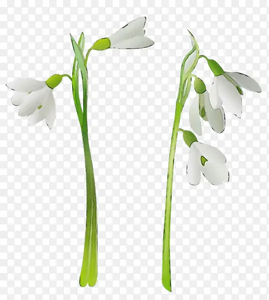 ˮ�ʻ� ���� ʪī-������