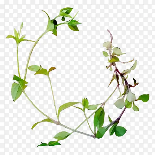 ˮ�ʻ� ���� ʪī-������