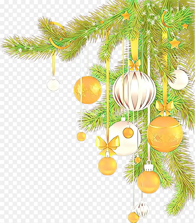 ��ͨ ��֦ ��-������