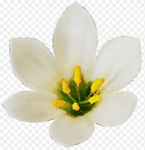 ˮ�� ���� ʪī-������