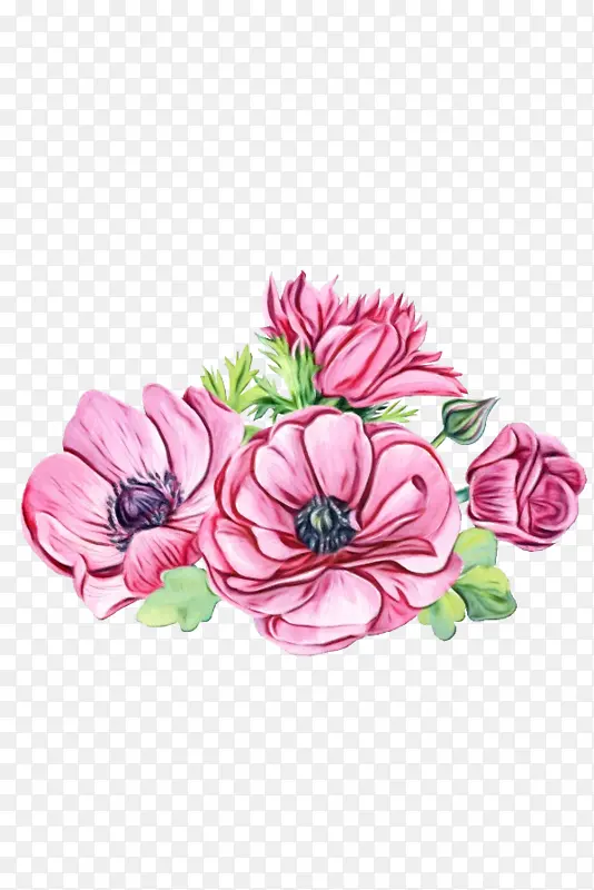 ˮ�� ���� ʪī-������