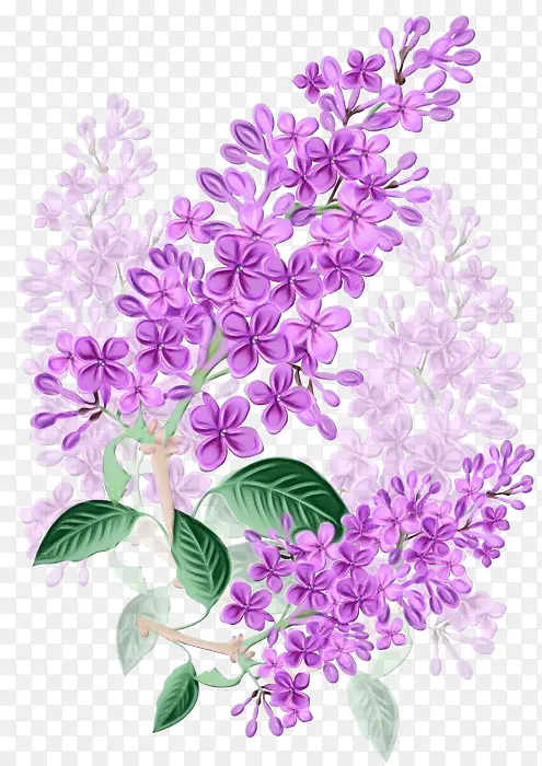 ˮ�� ���� ʪī-������