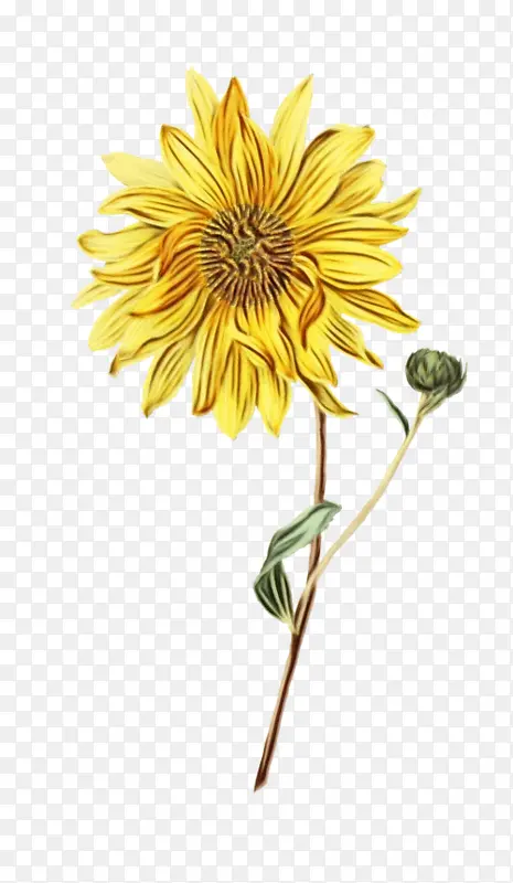 ˮ�� ���� ʪī-������