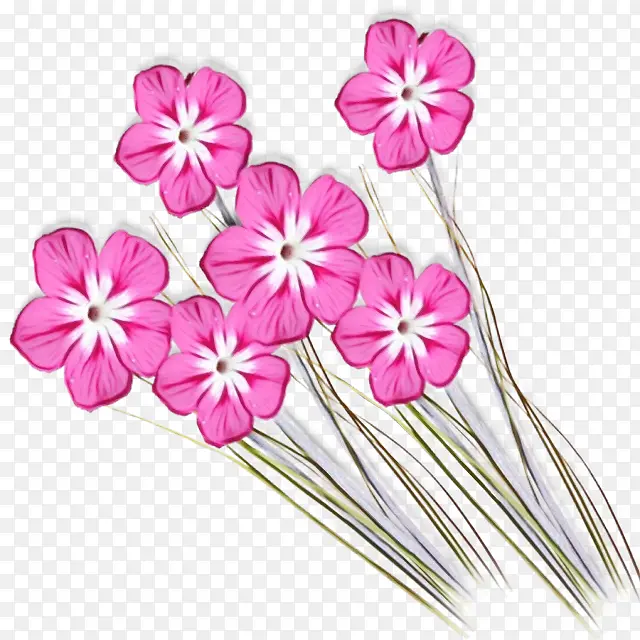 ˮ�ʻ� ���� ʪī-������