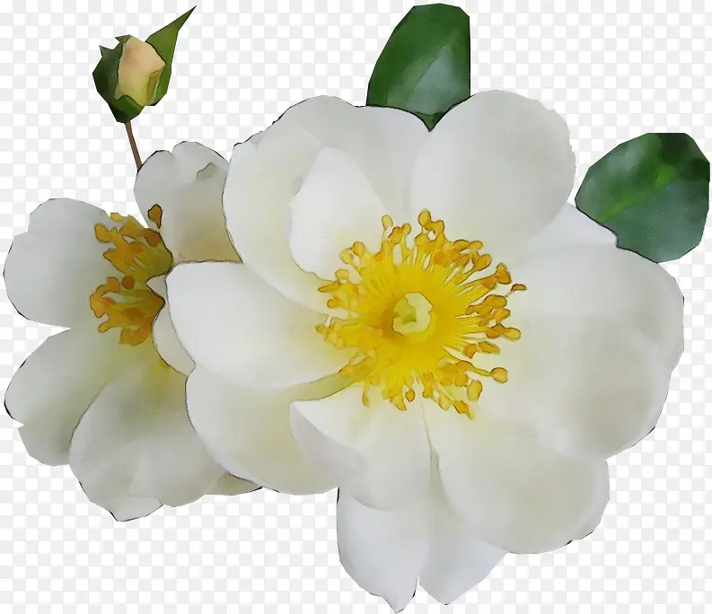 ˮ�ʻ� ���� ʪī-������