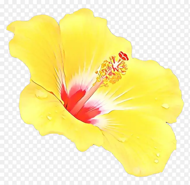 ��ͨ ܽ�� ��-������