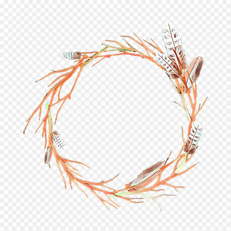 ��ͨ ��ɫ ��֦-������