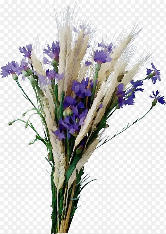 ˮ�ʻ� ���� ʪī-������