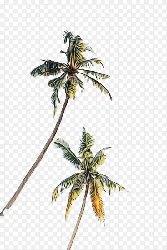 ˮ�ʻ� ���� ʪī-������