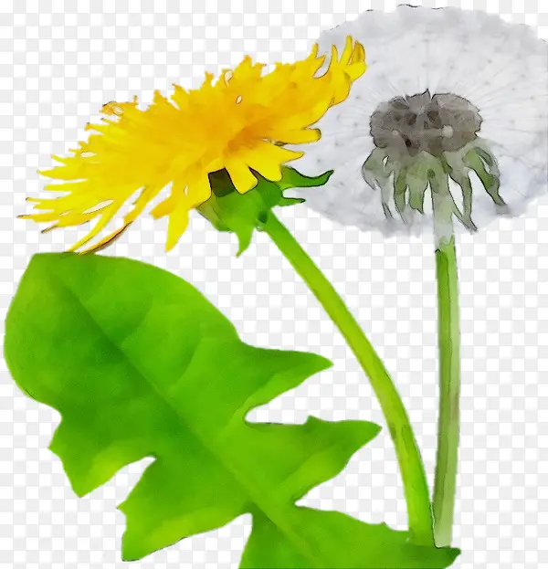 ˮ�� ���� ʪī-������