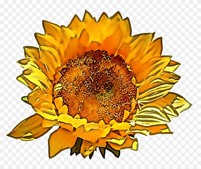 ���տ� �� ��ɫ-������