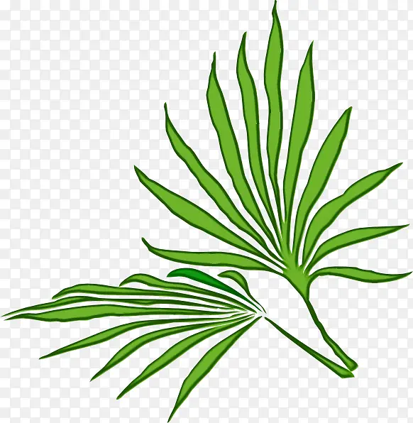 ֲ�� ˮ��-������