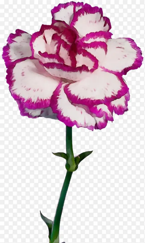 ˮ�ʻ� ���� ʪī-������