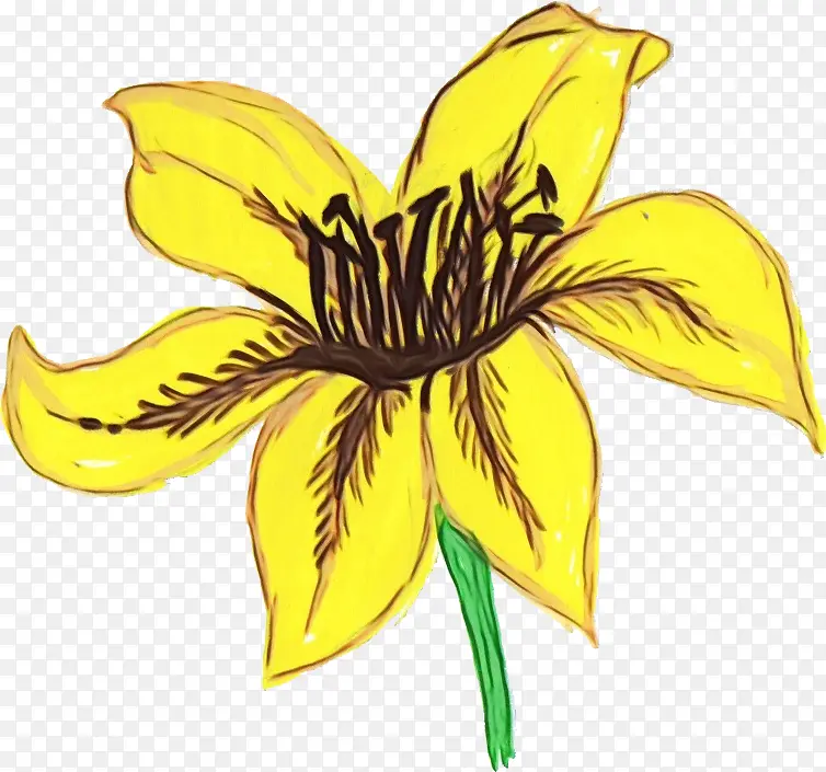 ˮ�ʻ� ���� ʪī-������