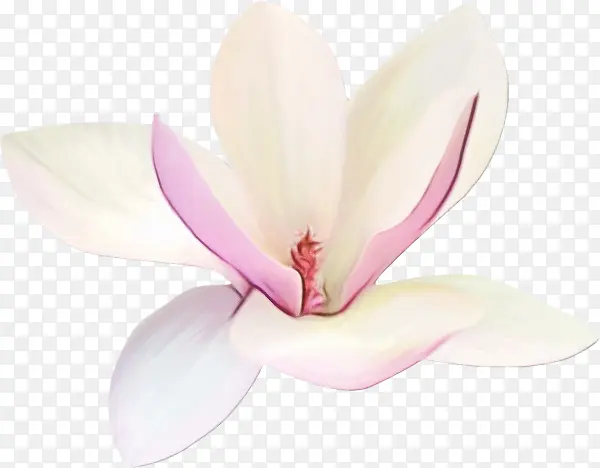 ˮ�� ���� ʪī-������