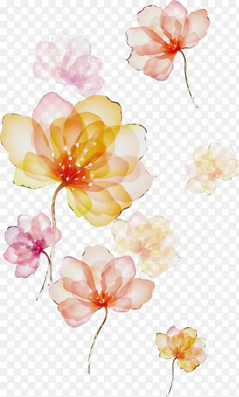 ˮ�ʻ� ���� ʪī-������