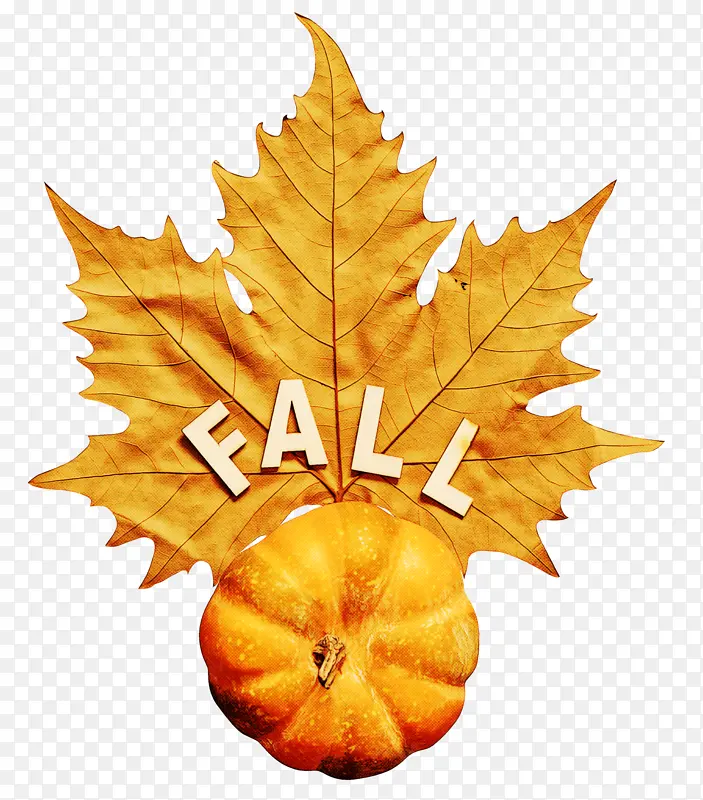 Ҷ�� ��Ҷ ��-������