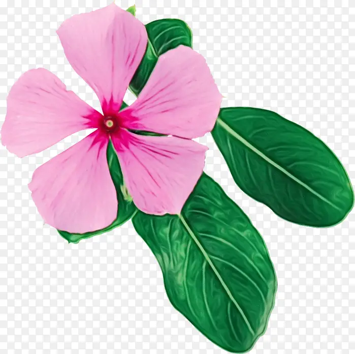 ˮ�ʻ� ���� ʪī-������